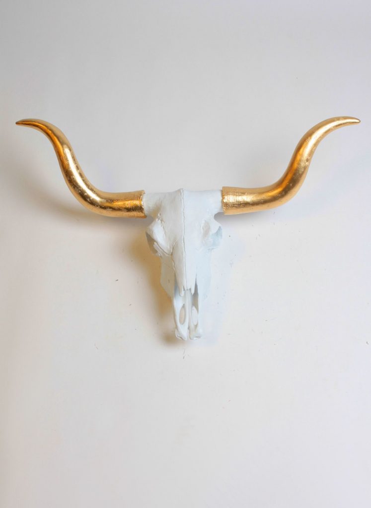 Longhorn steer bull head decor