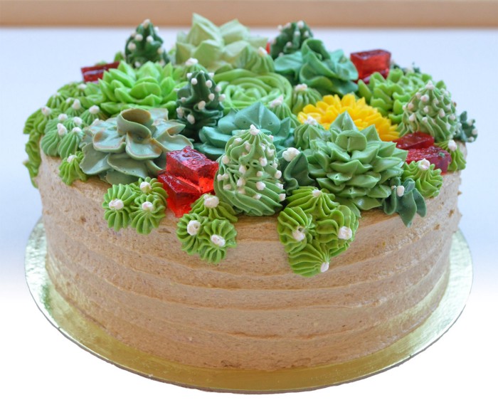 Succulents and Cactus Cakes