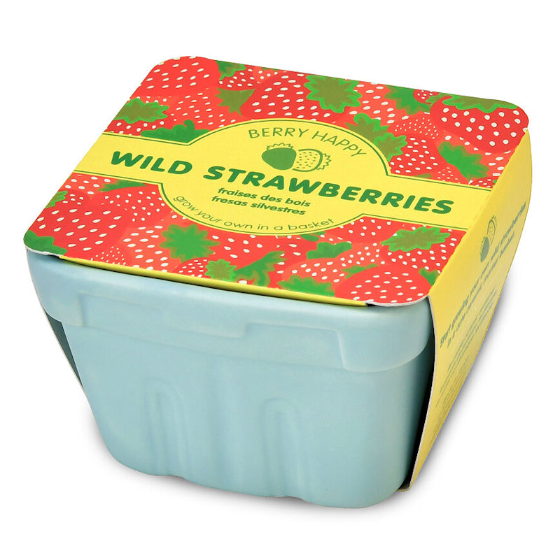 Foodie Gift Ideas: Fresh Wild Strawberries