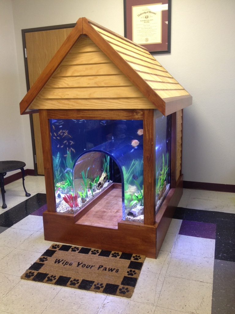Dog house fish tank