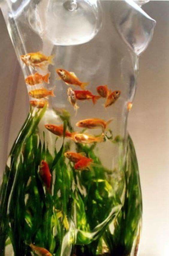 fish tank manequin