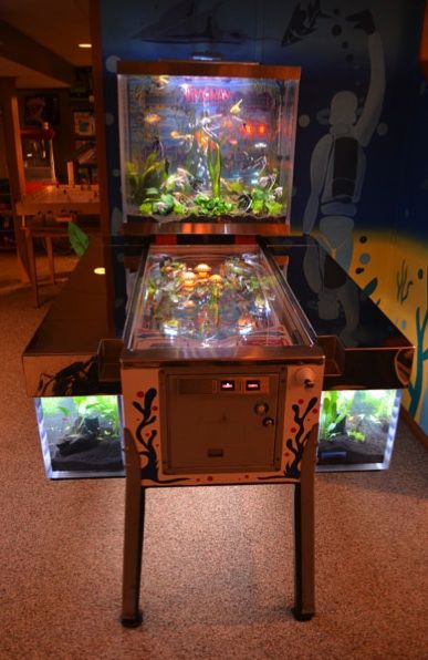 Pinball Wizard Fish Tank